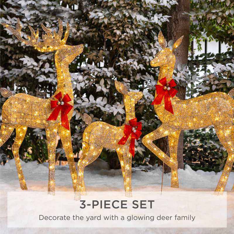 The Holiday Aisle® 3 Piece Christmas Deer Light Display Set & Reviews
